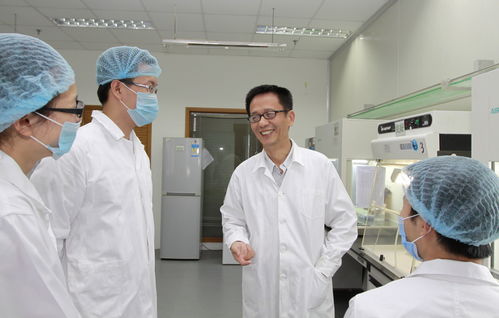 廈門市科技獎凸顯企業創新主體地位，醫藥科技領域成果斐然引領高質量發展